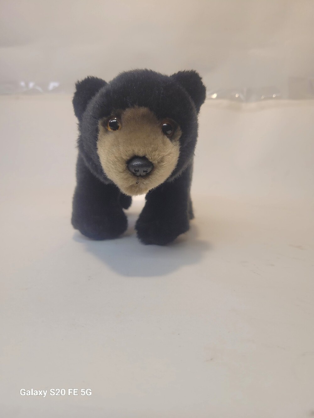 Webkinz Signature Black Bear